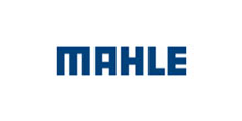 Mahale Filter System India Ltd